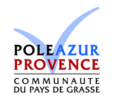 logo_top