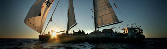 qui-est-tara_panoramique