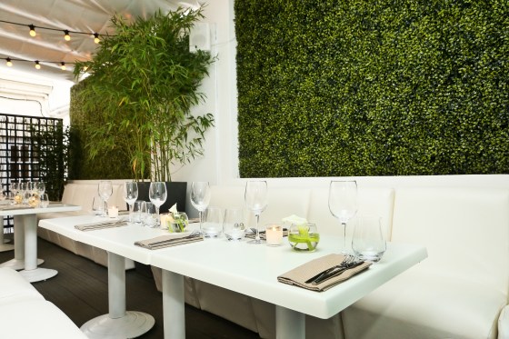 61-croisette-jardin-secret-cannes