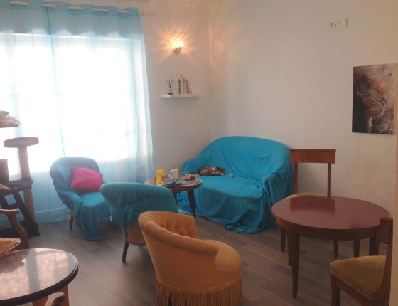 cafe-cats-salon-the-antibes-ronrontherapie