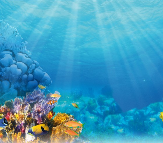 mediterranea-festival-juan-les-pins-antibes-cote-dazur-paca-loisirs