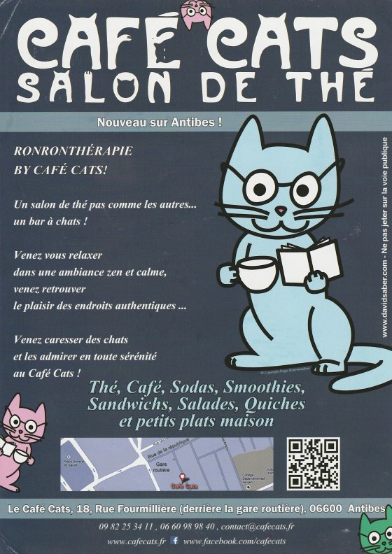 cafe-cats-salon-de-the-antibes