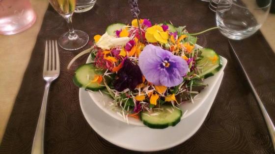 restaurant-la-taille-de-guepe-antibes-france